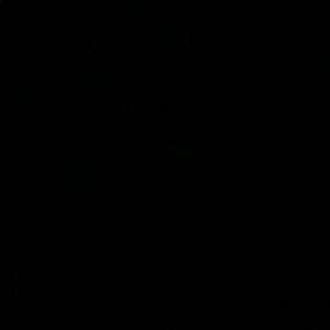 Meet your Posher, Jasmin